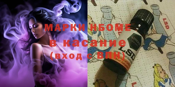 spice Верея