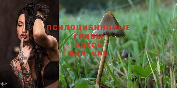 spice Верея