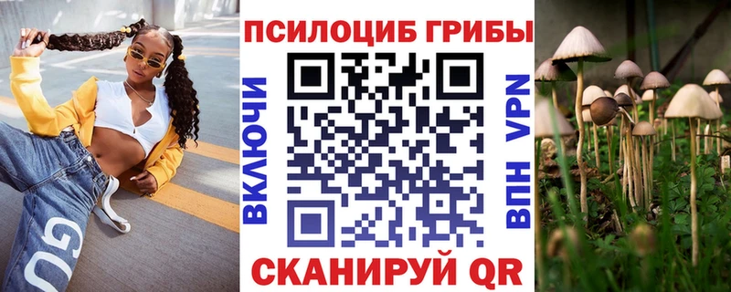 закладки  Одинцово  Галлюциногенные грибы Psilocybine cubensis 